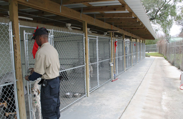 Atmore-Animal-Shelter-052.jpg