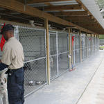 Atmore-Animal-Shelter-052.jpg