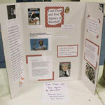EWMS-History-Day-Projects-065.jpg