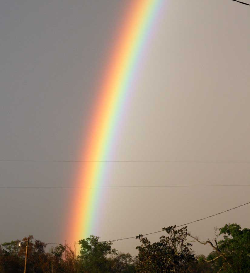 rainbow11.jpg
