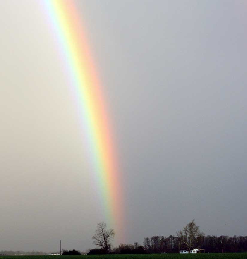 rainbow12.jpg