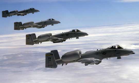 warthogs2.jpg warthogs2.jpg