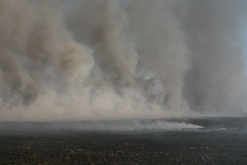 wheatfieldfire11.jpg