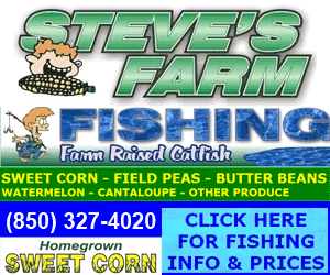 StevesFarm