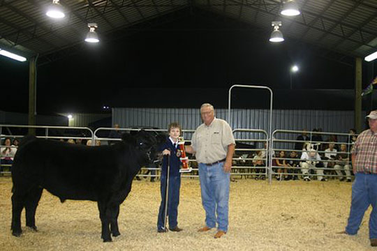 steer11.jpg