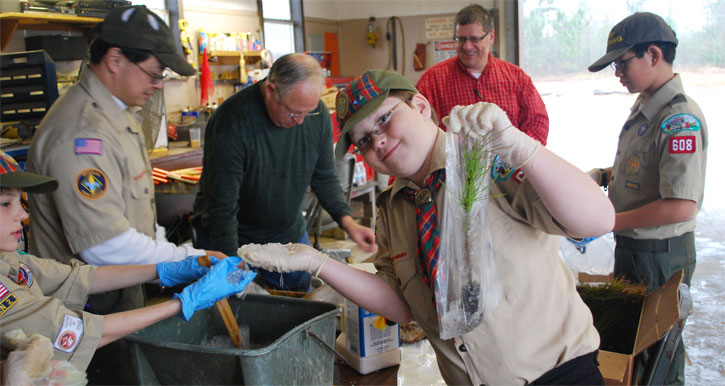 boy-scout-trees-10.jpg