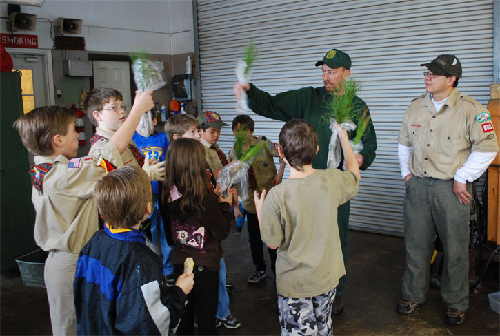 boy-scout-trees-11.jpg