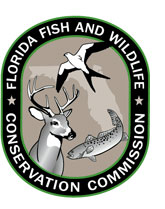 Fwc hunting license Clearance