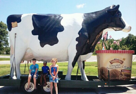 giantcow11