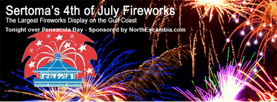 Guide To Area Fireworks Shows