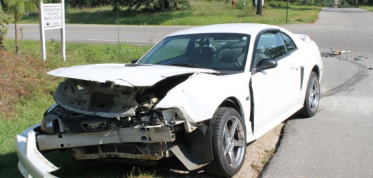 4pinebarren-utility11