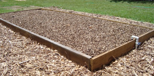 gardenbed11