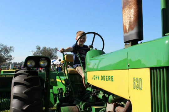 Jay-Peanut-Festival-204