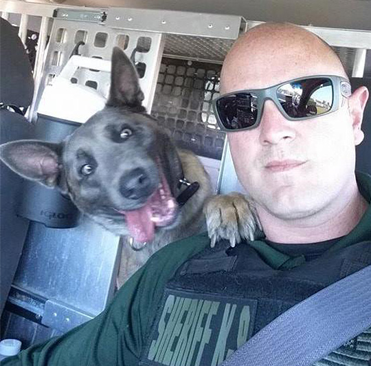 k9photobomb11