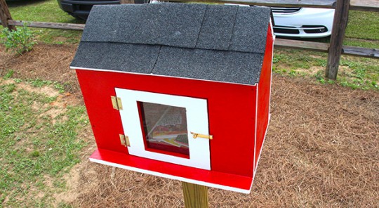 littlelibrarycantonment12