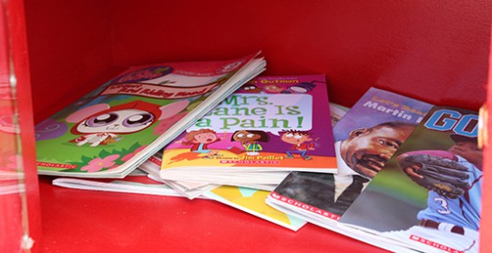 littlelibrarycantonment13