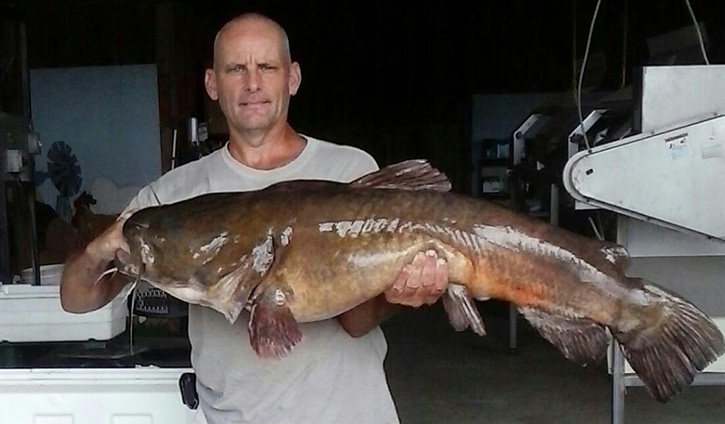 Escambia River Catfish Falls Just Short Of State Record