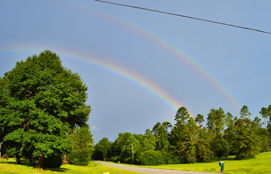doublerainbow
