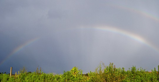 doublerainbow11