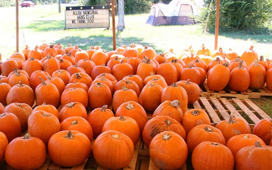 allenpumpkins11