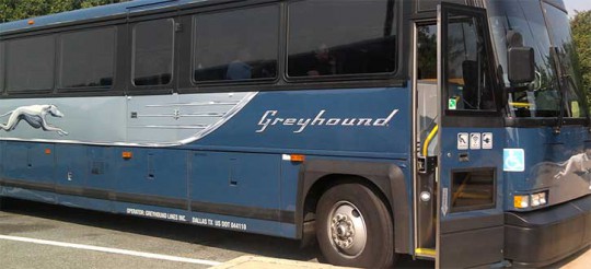 greyhoundbus11