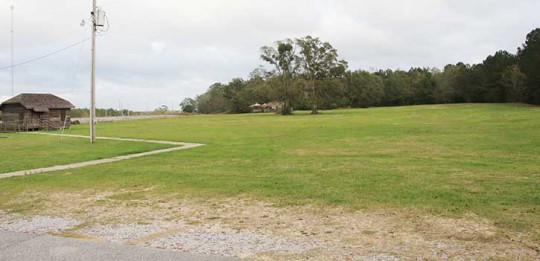 walkingparthwalnuthill22