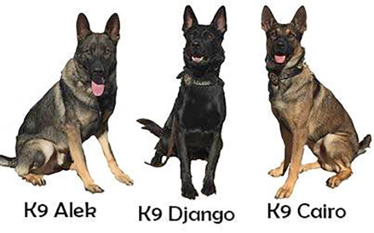 k9s11