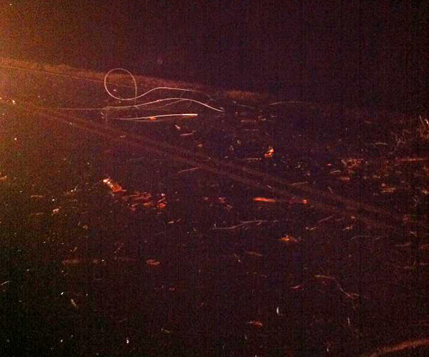 Storms Leave Minor Damage Across Area (With Photos)