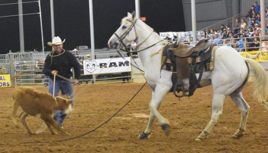 taterodeo14