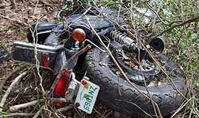 kingsfieldwoodsfront