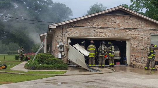 Motley-bison-fire-601