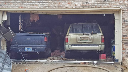 Motley-bison-fire-607