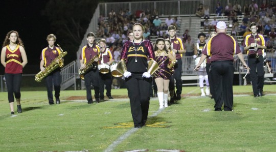 nhs-ea-band-cheers-119