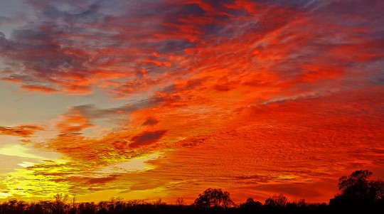 christmasevesunsetweb