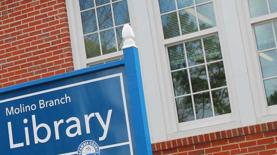 molinolibrarystock13