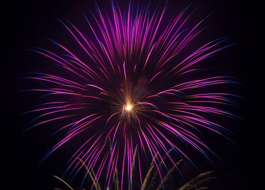 Century-fireworks-104