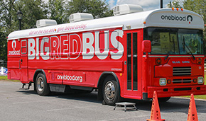 Blood Drive Today At The Molino Library