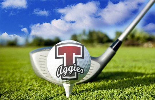 tategolf11