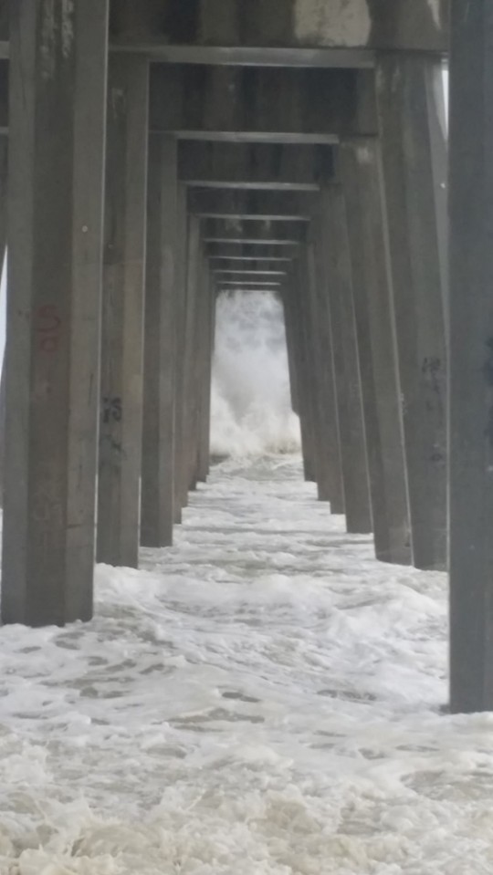 Beach-Michael-Wed-104