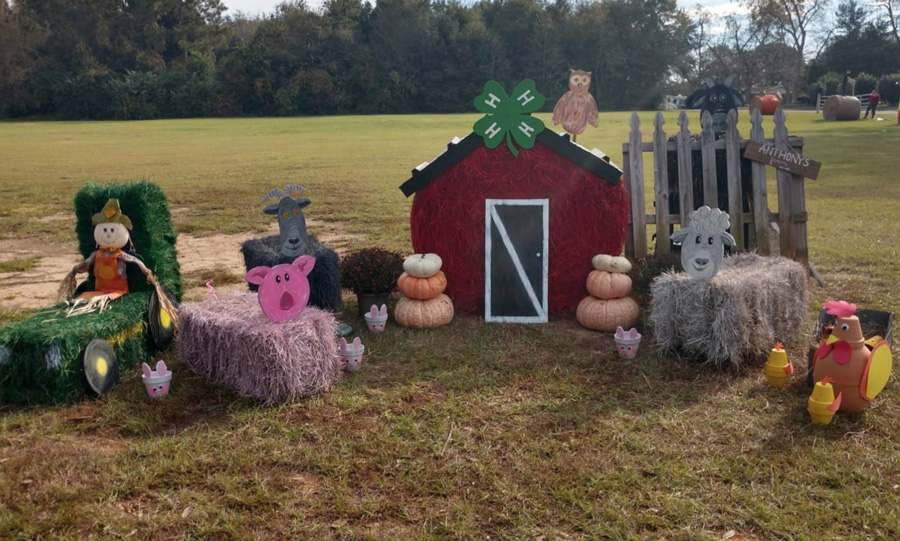Check This Out Hay Bale Decorating Contest Winners Northescambia Com
