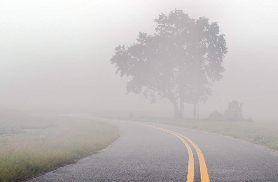 Dense Fog Advisory; Showers And Thunderstorms Likely