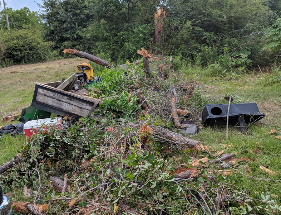 Tree Falls On Man Mowing Grass; Firefighters Free Him With Jaws Of Life