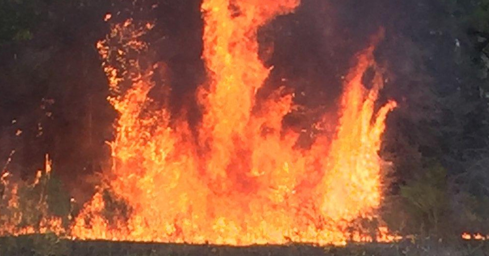 Firefighters Battle Nearly Two Dozen Fires Near McDavid And Flomaton