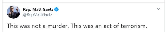 gaetzterrorism