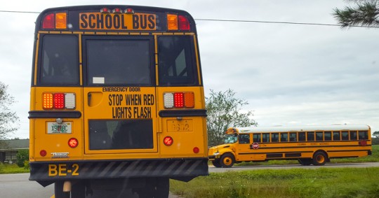 schoolbuses11