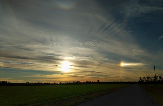 sundog11