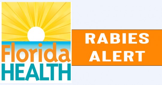 Rabid Fox Bites Three In Bratt, Rabid Bat Reported In Florida; Now A Rabid Bat Is Confirmed Close to Flomaton : NorthEscambia.com