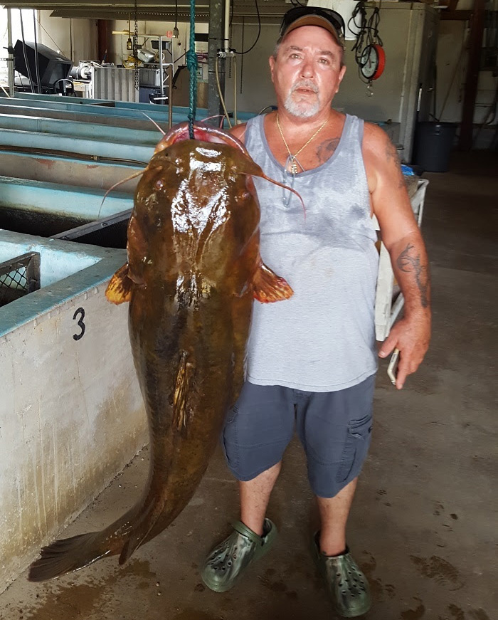Man Catches New State Record 69.9 Pound Flathead Catfish In Santa Rosa