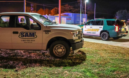 KingsField-turkeys-5005