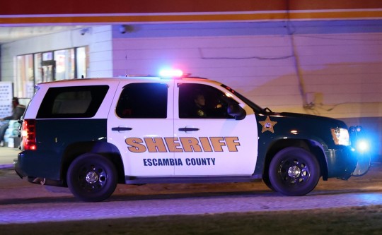 KingsField-turkeys-5007